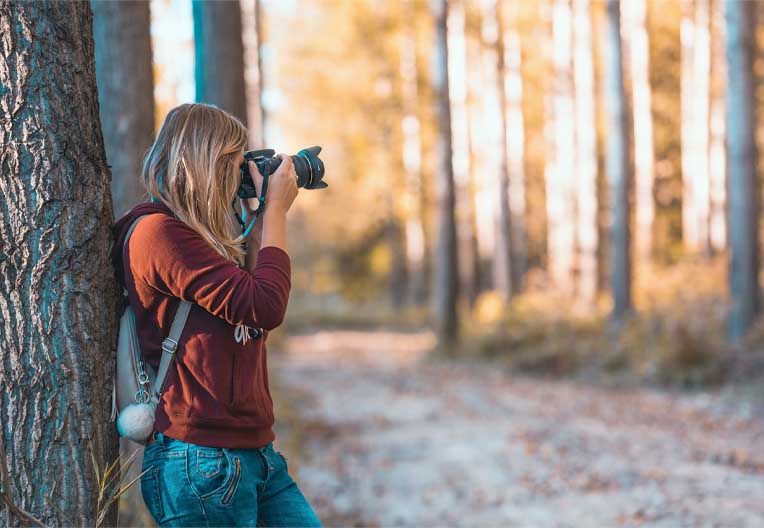 A Year With My Camera