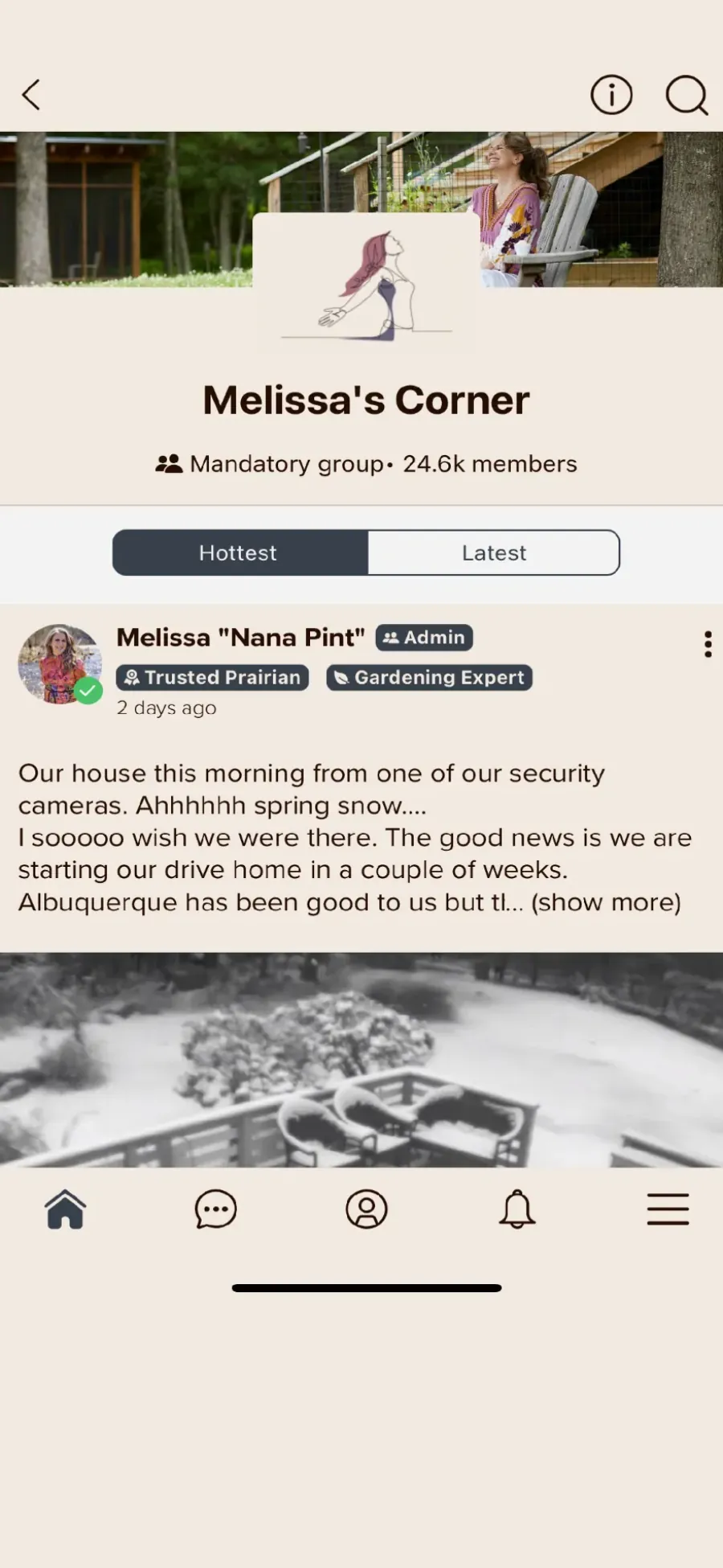 Groups and feeds